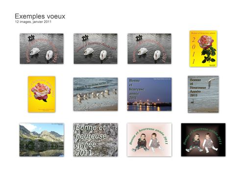 Exemples de cartes de voeux